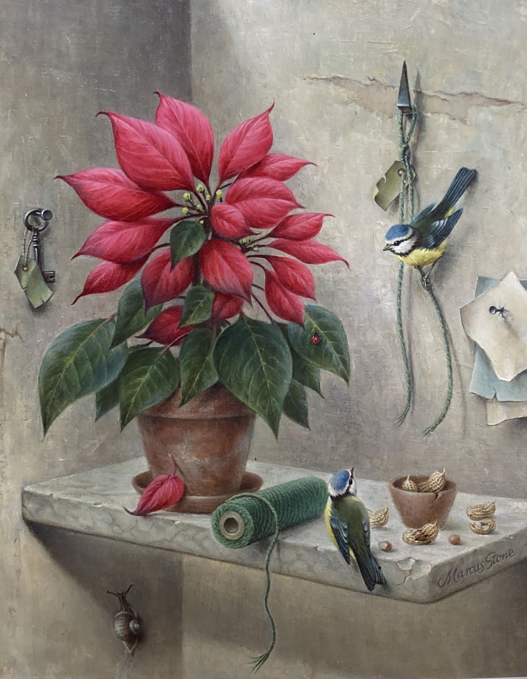 Marcus Stone, oil on canvas, Still life of a poinsettia and blue tits, signed, 55 x 45cm